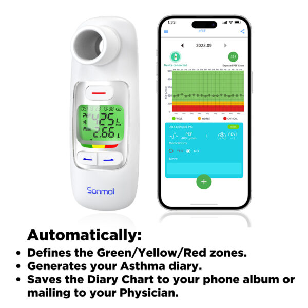 electronic peak flow meter with memories